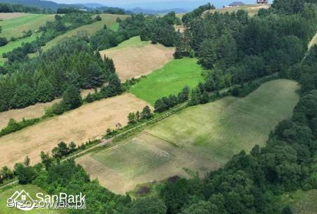Działka z warunkami zabudowy -  Rybne