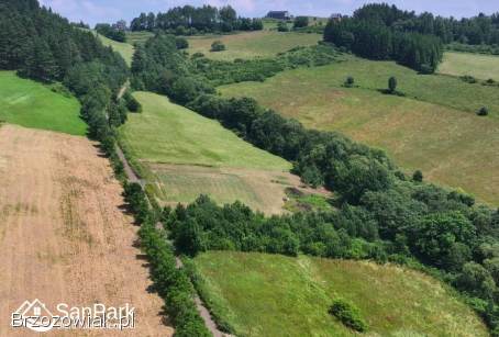 Działka z warunkami zabudowy -  Rybne