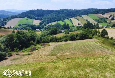 Działka z warunkami zabudowy -  Rybne