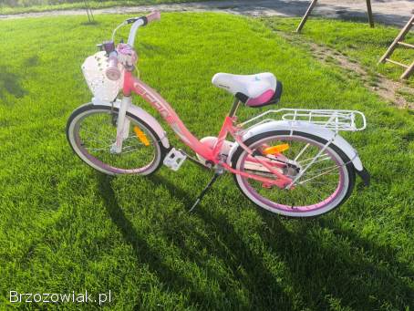 Rower dziewczęcy Score Flavi 20