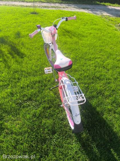 Rower dziewczęcy Score Flavi 20