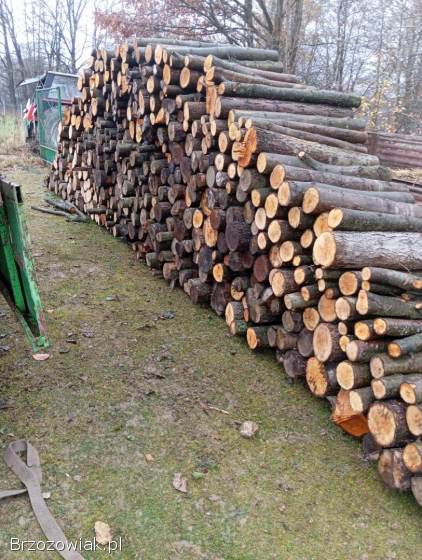 Sprzedam drzewo olche i brzozę