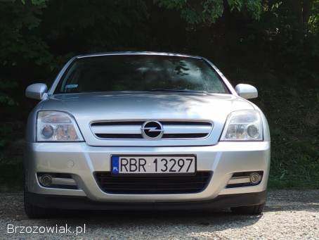 Opel Signum 2.  2 DTI ECOTEC 2003