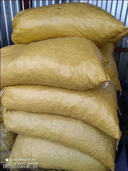 GROSZEK WORKOWANY STW BRZOZÓW