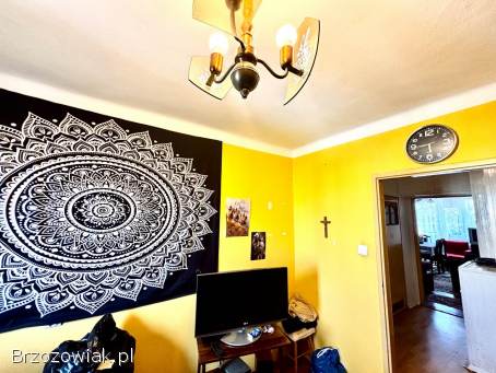 BIURO KROŚNIEŃSKIE NIERUCHOMOŚCI POLECA