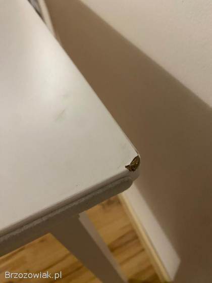 Stół JYSK 120 x 75 biały