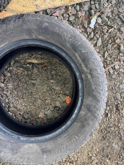 Opony zimowe z felgami 195/65R15