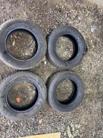 Opony zimowe z felgami 195/65R15