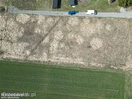 Działka z Warunkami Zabudowy w Nienaszowie