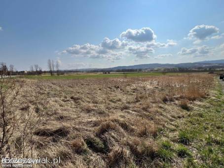 Działka z Warunkami Zabudowy w Nienaszowie