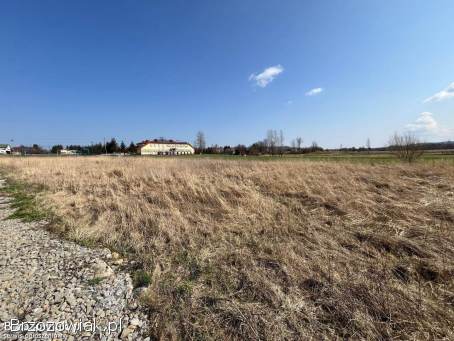 Działka z Warunkami Zabudowy w Nienaszowie