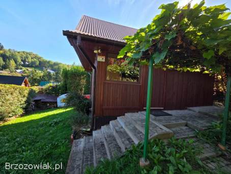 Dom nad Soliną 100 m od wody i lasu!