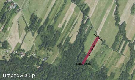 Działka leśna w Nienaszowie!