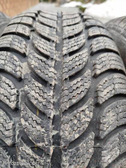 Opony Dębica frigo 2