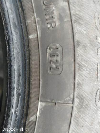 Opony Dębica frigo 2