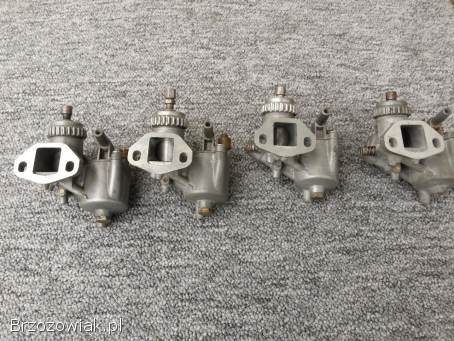 Jawka-Mustang-Ogar-kraniki