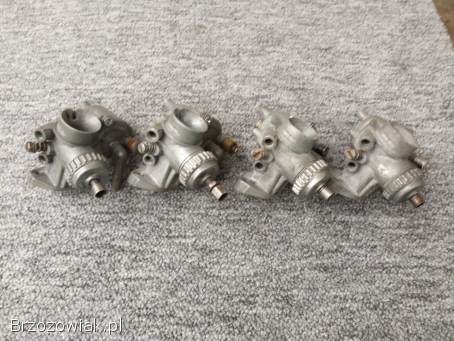 Jawka-Mustang-Ogar-kraniki