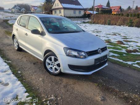 Volkswagen Polo 2010