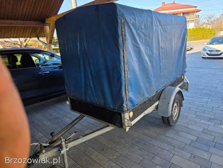 Przyczepka 250x125 Dmc 1300