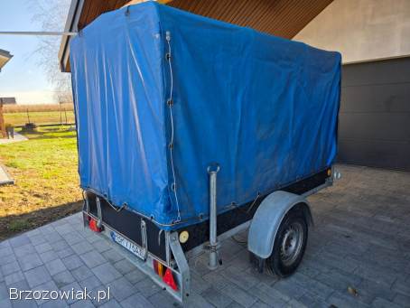 Przyczepka 250x125 Dmc 1300