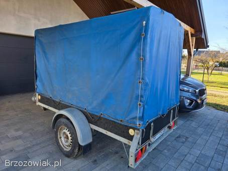 Przyczepka 250x125 Dmc 1300