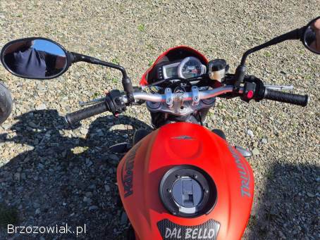 Triumph Speed Triple 650 R 2009