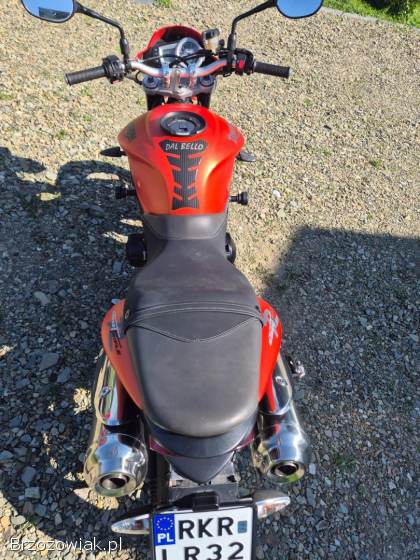 Triumph Speed Triple 650 R 2009