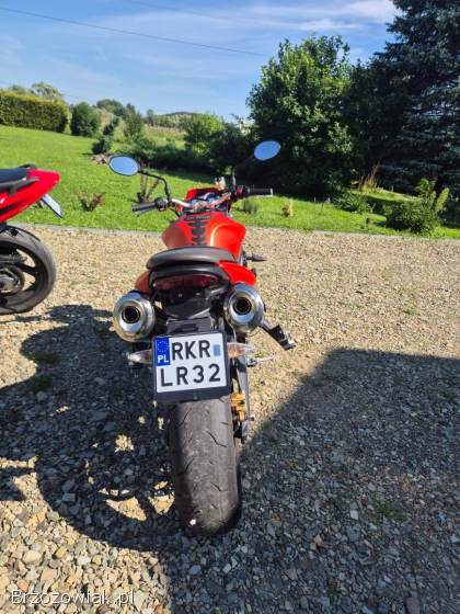 Triumph Speed Triple 650 R 2009