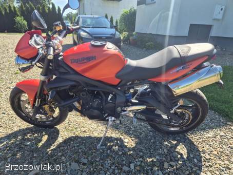 Triumph Speed Triple 650 R 2009