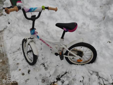 Rower koło 16