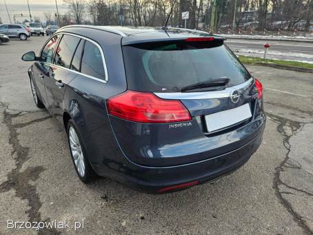 Opel Insignia 2.  0CDTI AUTOMAT 2010