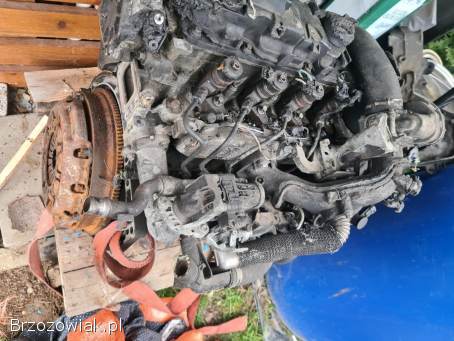 FORD FIESTA MK VII 2008 -  1.  4 TDCI SILNIK AV2Q6007CA