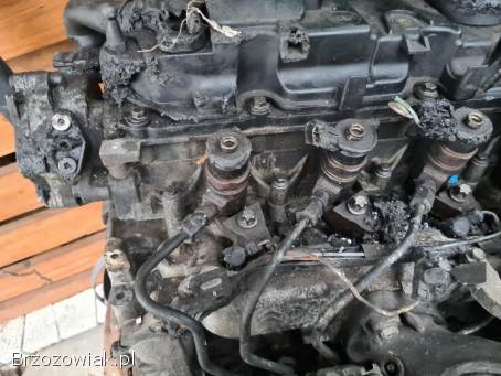 FORD FIESTA MK VII 2008 -  1.  4 TDCI SILNIK AV2Q6007CA