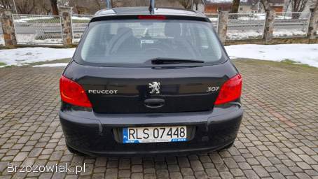 Peugeot 307 2005