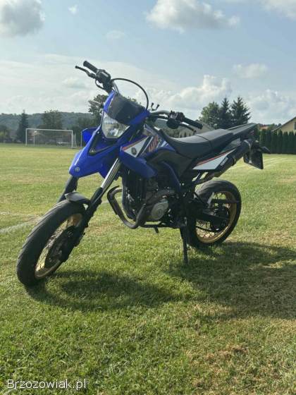 Yamaha WR X 2009