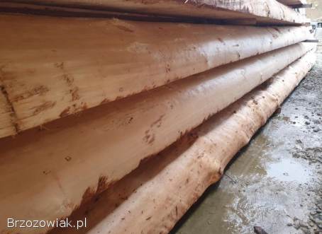 Material do budowy domu z bali jak z zdjeci