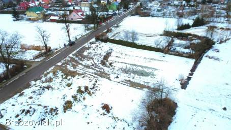 DZIAŁAK W LESKU 10AR