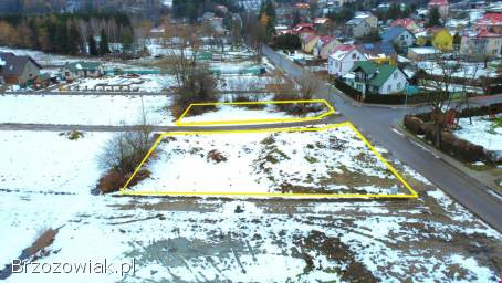 DZIAŁAK W LESKU 10AR