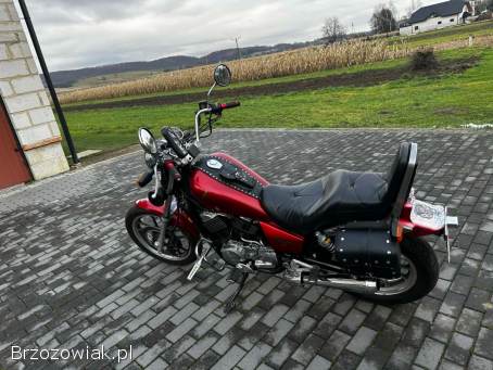 Honda VT 500 Shadow 1985