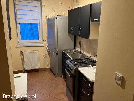 Jasne mieszkanie,  dwa oddzielne pokoje.