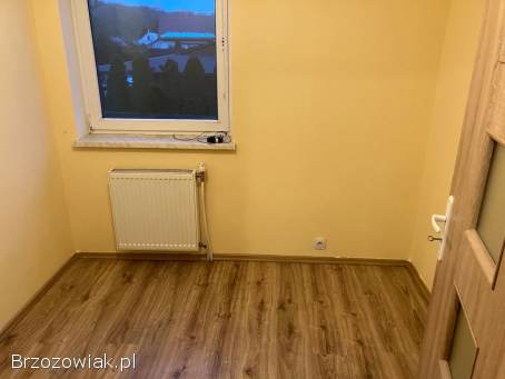 Jasne mieszkanie,  dwa oddzielne pokoje.