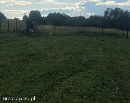 Sprzedam działkę 10 arów Kaczorowy