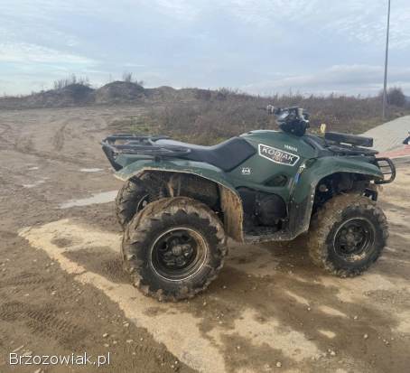 Yamaha kodiak/grizzly 700