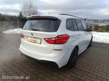 BMW Seria 2 F46 GT 218d 2017