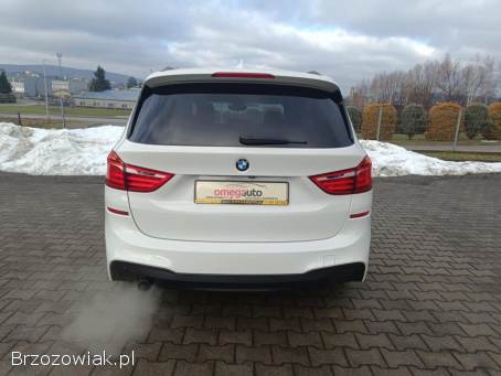 BMW Seria 2 F46 GT 218d 2017