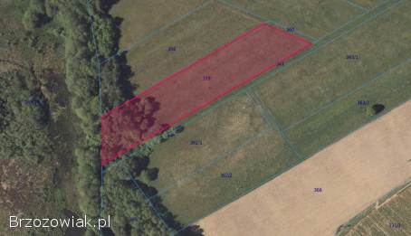 Atrakcyjna działka 6311 m² – Bykowce