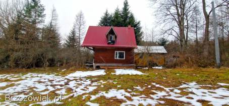 Atrakcyjna działka 38 ar w Krecowie