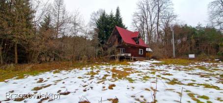 Atrakcyjna działka 38 ar w Krecowie