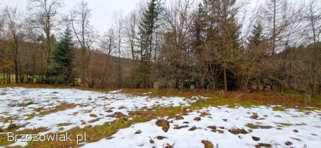 Atrakcyjna działka 38 ar w Krecowie