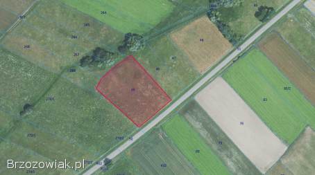 Grunt rolny z potencjałem – Jędruszkowce
